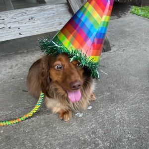 Meet your Posher, Hope